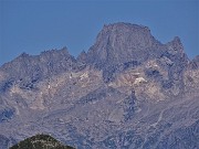 Bocchetta di Budria-Monte Azzaredo ad anello fiorito-10lu22 - FOTOGALLERY